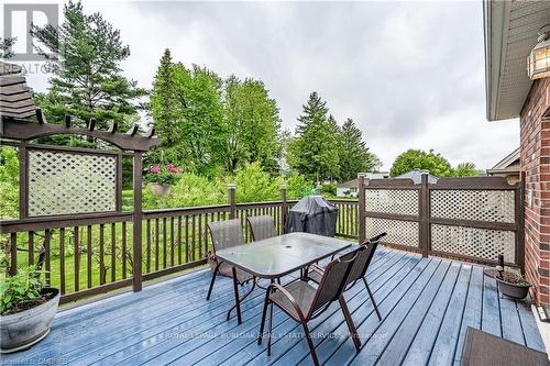 217 Donnici Drive, Hamilton, ON - Outdoor With Deck Patio Veranda With Exterior