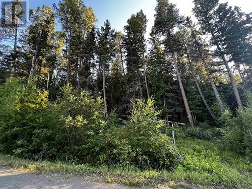 Lot 30 Caverly Road, Lac La Hache, BC 