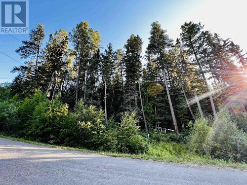 Lot 30 Caverly Road, Lac La Hache, BC 