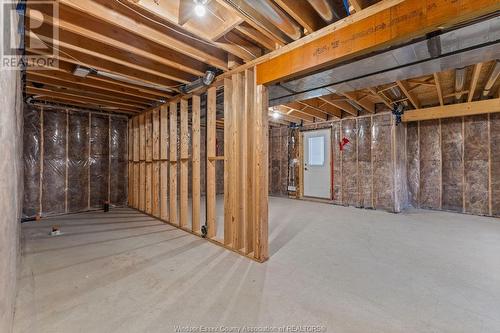 1490 Helsinki Court, Windsor, ON - Indoor Photo Showing Basement