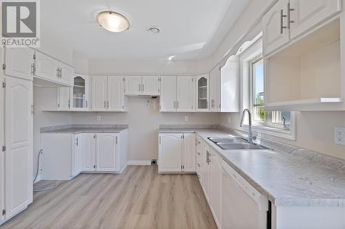 53 Greenspond Drive, St. John'S, NL - Indoor Photo Showing Kitchen With Double Sink