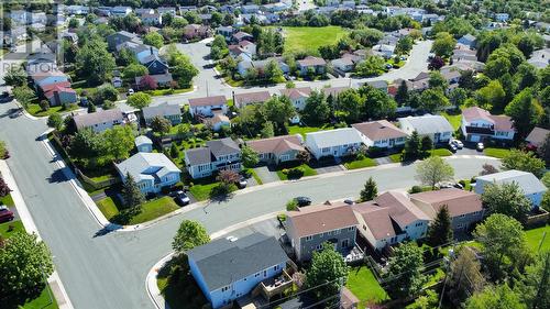 26 Carmanville Street, St. John'S, NL - Outdoor With View