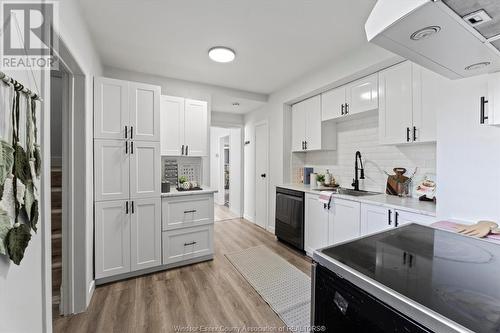 1453 Francois, Windsor, ON - Indoor Photo Showing Kitchen