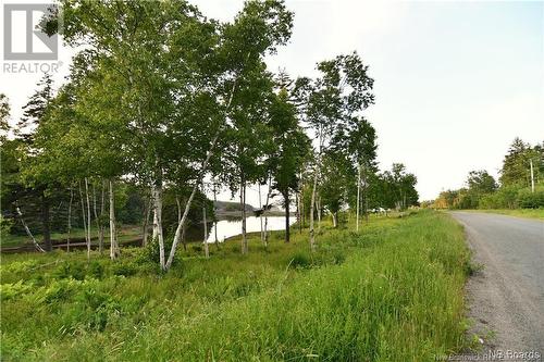 Lot 86-312 Mill Cove, Wilsons Beach, NB 