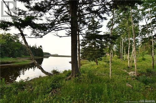 Lot 86-312 Mill Cove, Wilsons Beach, NB 