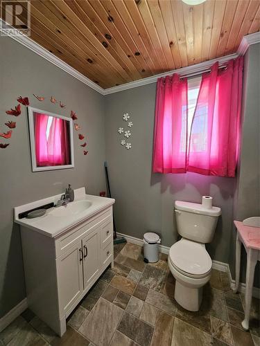 14-16 Carrolls Road, Spaniards Bay, NL - Indoor Photo Showing Bathroom