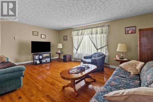 6 Hussey'S Road, Paradise, NL - Indoor Photo Showing Living Room