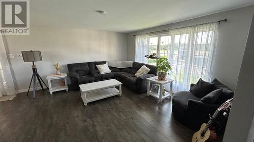 315 Main Road, Port Au Port East, NL - Indoor Photo Showing Living Room