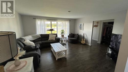 315 Main Road, Port Au Port East, NL - Indoor Photo Showing Living Room