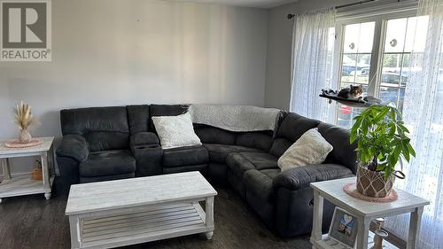 315 Main Road, Port Au Port East, NL - Indoor Photo Showing Living Room