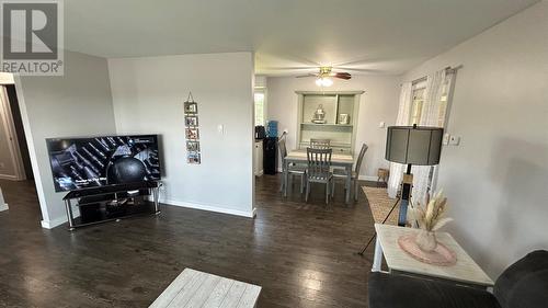 315 Main Road, Port Au Port East, NL - Indoor Photo Showing Living Room