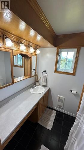 315 Main Road, Port Au Port East, NL - Indoor Photo Showing Bathroom