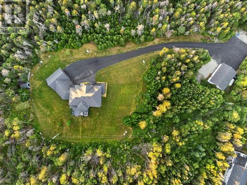 133 Lower Road, Outer Cove, NL - Outdoor With View