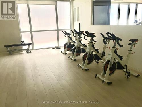 3105 - 56 Annie Craig Drive, Toronto, ON - Indoor Photo Showing Gym Room