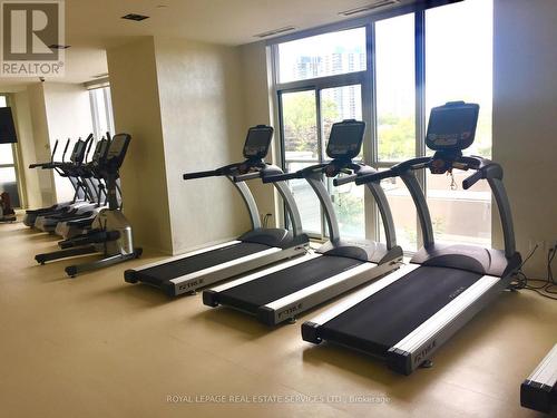 3105 - 56 Annie Craig Drive, Toronto, ON - Indoor Photo Showing Gym Room