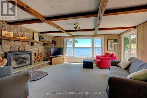 210 Wrenhaven Road, Kawartha Lakes, ON - Indoor Photo Showing Living Room With Fireplace