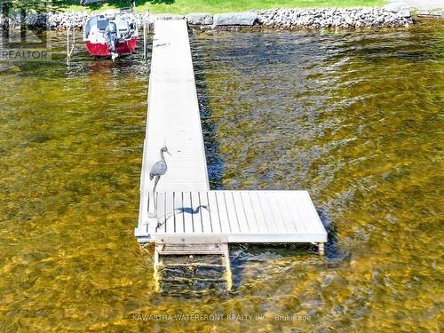 210 Wrenhaven Road, Kawartha Lakes, ON - Outdoor With Body Of Water With View