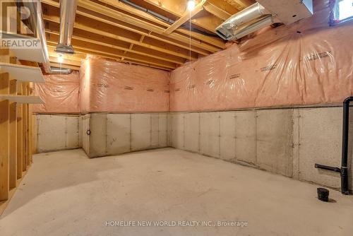 64 Chapman Court, Aurora, ON - Indoor Photo Showing Basement