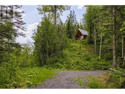 9201 Loos Road, Mcbride, BC 