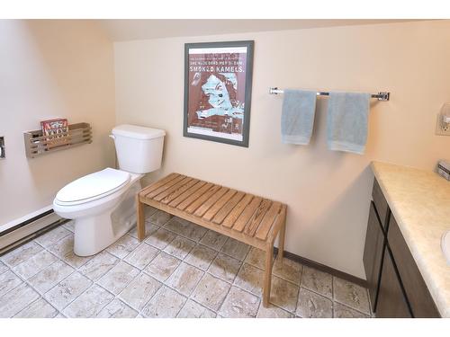 14 - 8040 Radium Golf Course Road, Radium Hot Springs, BC - Indoor Photo Showing Bathroom
