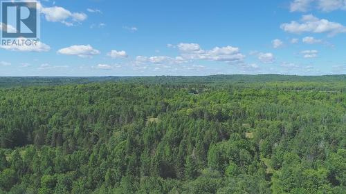 497 Acres Chiblow Lake Rd|And Brady Road, Patton Twp, Algoma District, ON - Outdoor With View