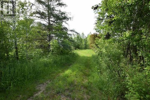 497 Acres Chiblow Lake Rd|And Brady Road, Patton Twp, Algoma District, ON - Outdoor