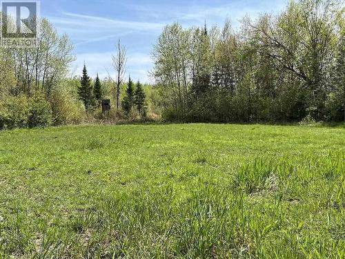 497 Acres Chiblow Lake Rd|And Brady Road, Patton Twp, Algoma District, ON - Outdoor