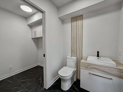 Powder room - 414 Rue Du Tonnelier, Saint-Jérôme, QC 