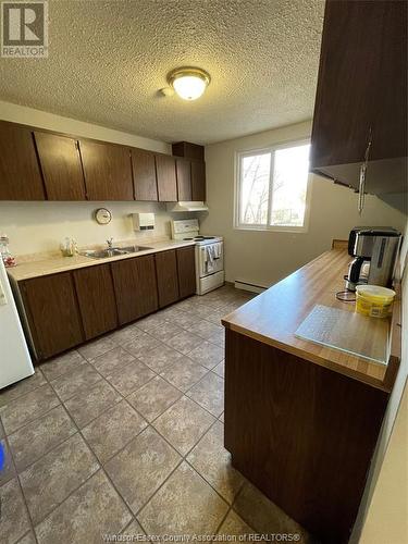 120 Pickering Drive Unit# 304, Amherstburg, ON - Indoor Photo Showing Kitchen With Double Sink