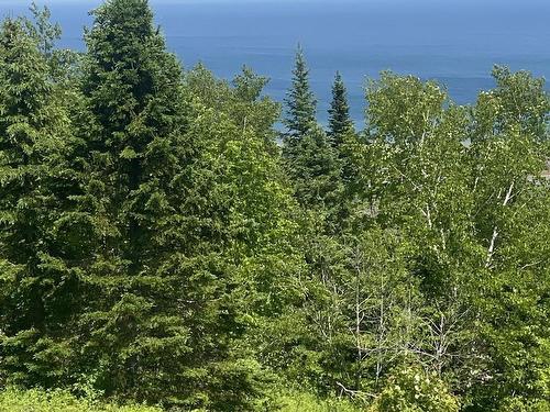 2601 Highway 337 Antigonish Harbour, N.S., Antigonish Harbour, NS 