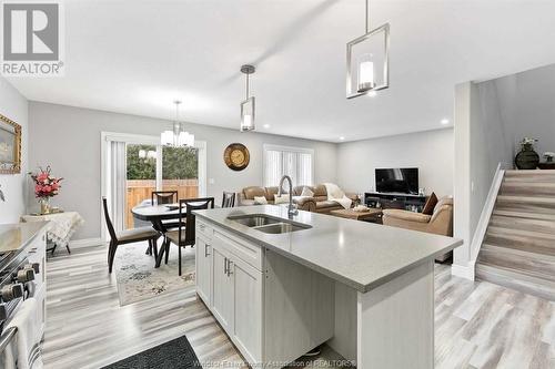 1206 Kamloops, Windsor, ON - Indoor Photo Showing Kitchen With Double Sink