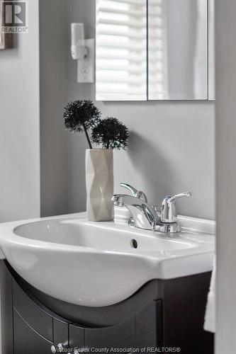 1347 Windermere Road, Windsor, ON - Indoor Photo Showing Bathroom