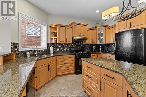 450 Dalhousie Street, Amherstburg, ON - Indoor Photo Showing Kitchen With Double Sink