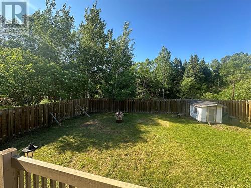 6 Pumphouse Road, Botwood, NL - Outdoor With Backyard