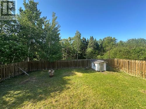 6 Pumphouse Road, Botwood, NL - Outdoor With Backyard