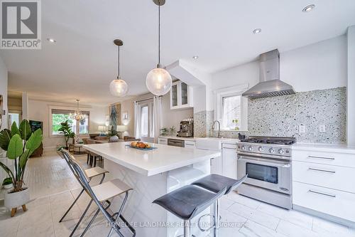 12 Haslett Avenue, Toronto, ON - Indoor Photo Showing Kitchen With Upgraded Kitchen