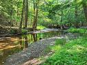 35+ Acres 256 Highway, East Earltown, NS 