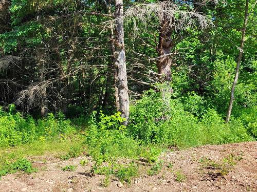 35+ Acres 256 Highway, East Earltown, NS 