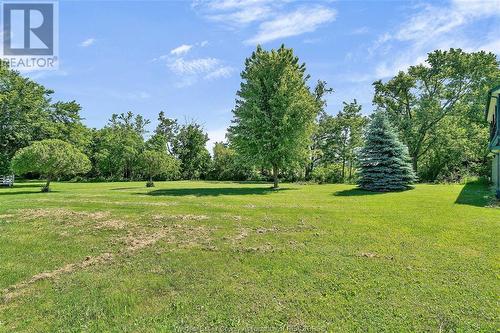 564 Road 2 West, Kingsville, ON - Outdoor