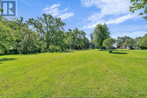 564 Road 2 West, Kingsville, ON - Outdoor