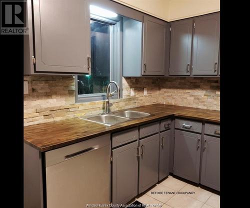 1145 Hall Avenue, Windsor, ON - Indoor Photo Showing Kitchen With Double Sink