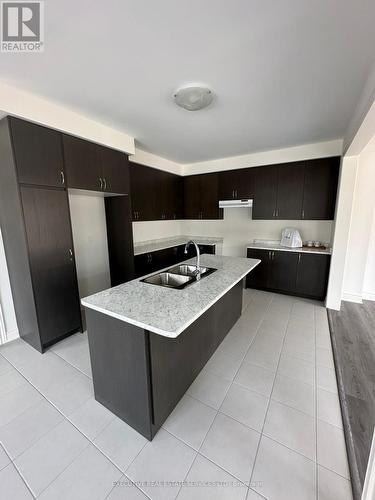 67 Bloomfield Crescent, Cambridge, ON - Indoor Photo Showing Kitchen With Double Sink