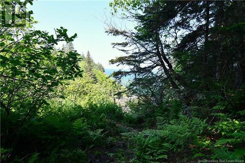 Lot 86-16 Fundy Drive, Wilsons Beach, NB 