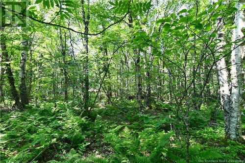 Lot 86-16 Fundy Drive, Wilsons Beach, NB 