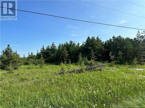 P Lot 62 Route 11 Hwy, Pokeshaw, NB 