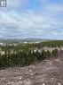 2 Crestview Heights, Creston South, NL 