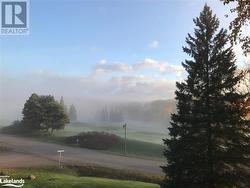 Foggy Morning Vista - 