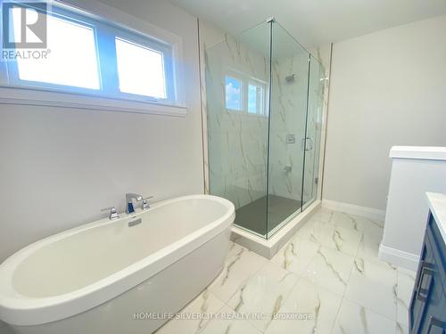 535 Veneto Street, Lakeshore, ON - Indoor Photo Showing Bathroom