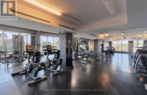 521 - 20 Minowan Miikan Lane, Toronto, ON - Indoor Photo Showing Gym Room