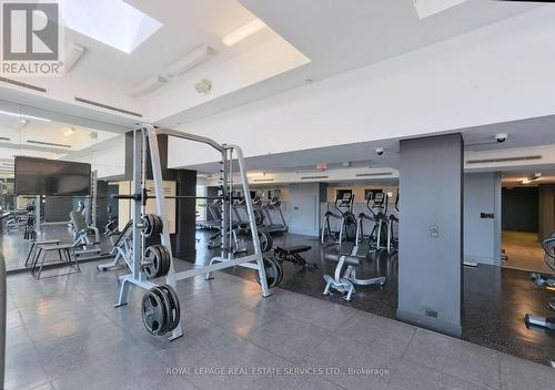 521 - 20 Minowan Miikan Lane, Toronto, ON - Indoor Photo Showing Gym Room